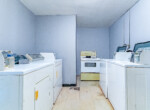 19 Benjamin St-31